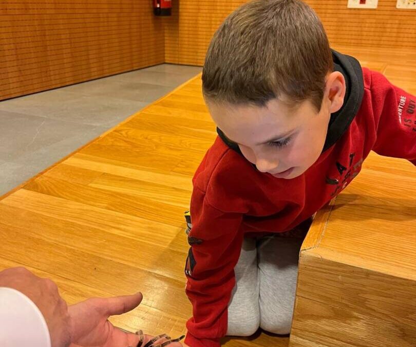 Taller de artrópodos